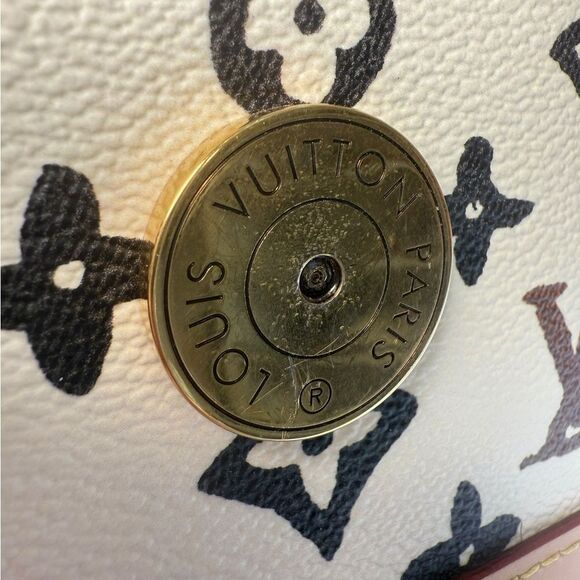 Louis Vuitton & Tyler The Creator Monogram Bag - Picture 12 of 14